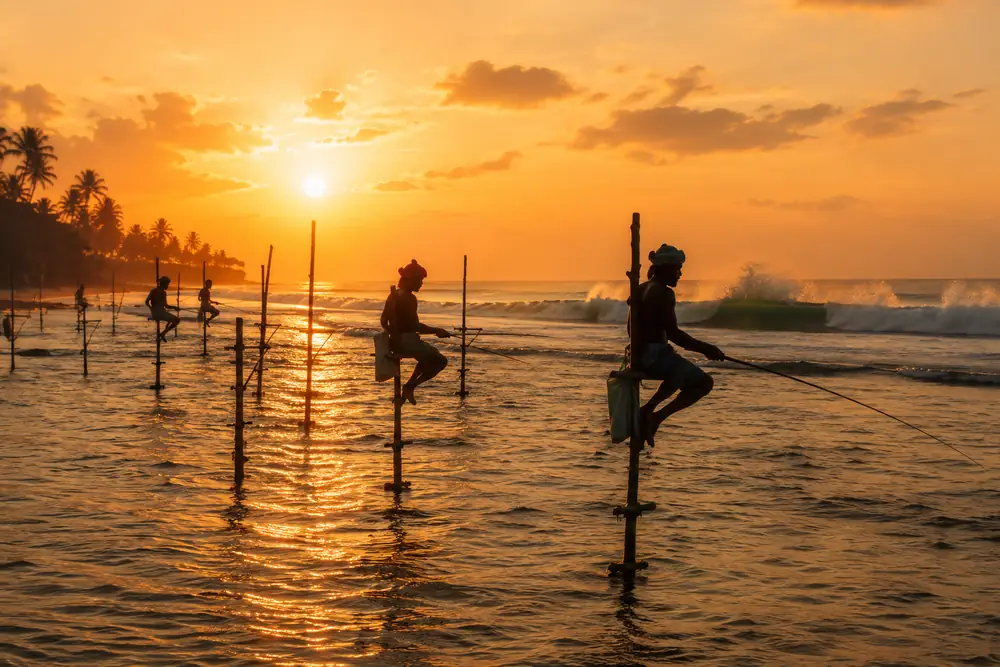 Stilt fishermen silhouetted on their poles in golden light off the Ahangama coast